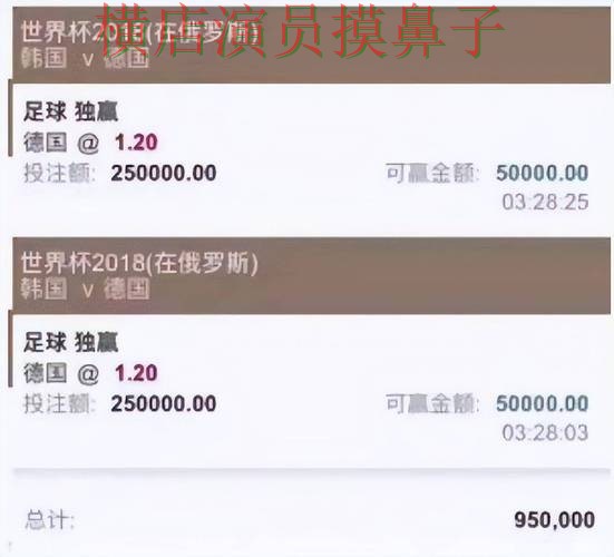 世界杯投注平台合集推荐合集：覆盖平台排行与入口方式 - 世界杯直播